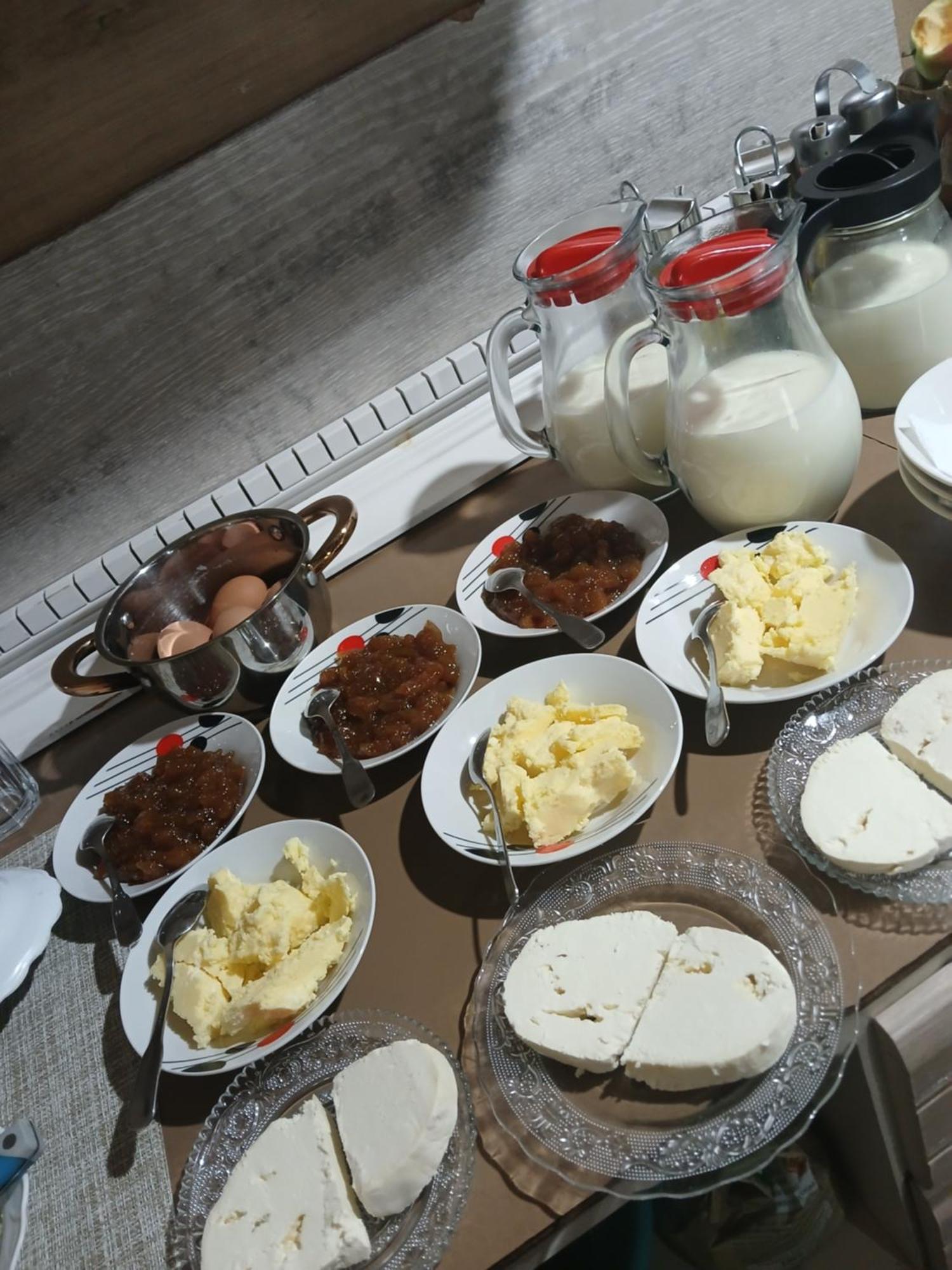 Bujtina Milani Bed & Breakfast Shkoder Exterior photo