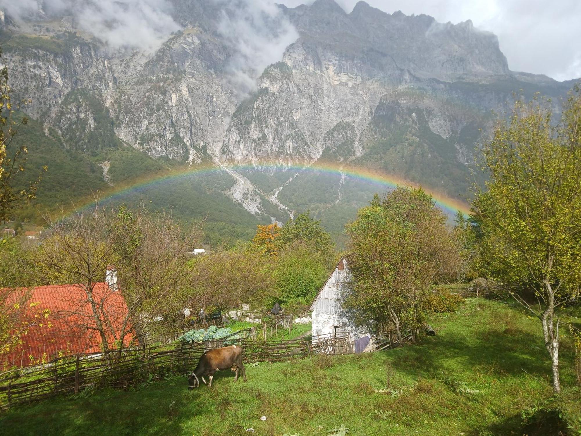 Bujtina Milani Bed & Breakfast Shkoder Exterior photo